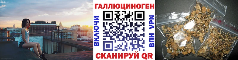 наркота  Березники  blacksprut   Галлюциногенные грибы Psilocybe 