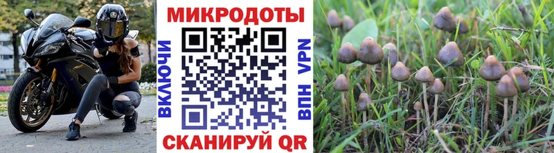 Галлюциногенные грибы ЛСД Березники